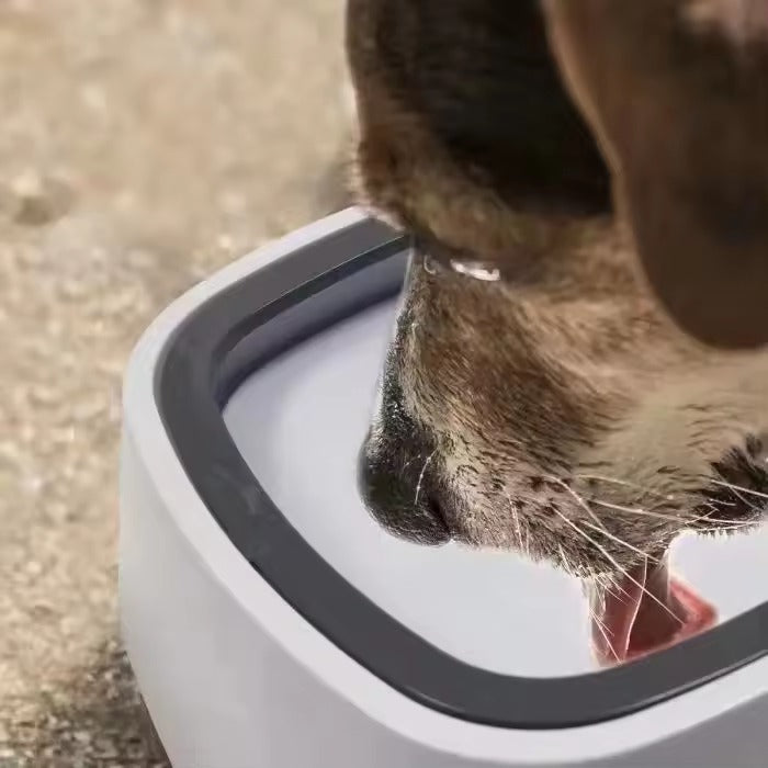Bebedero De Agua Para Mascotas