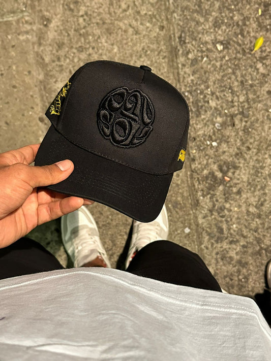 Gorra Beisbolera DSK