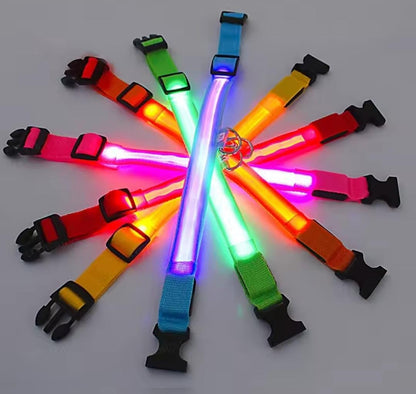 Collar Reflectivo Para Mascotas Con Luz