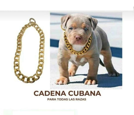 Cadena de Lujo Cubana Perros Mascotas